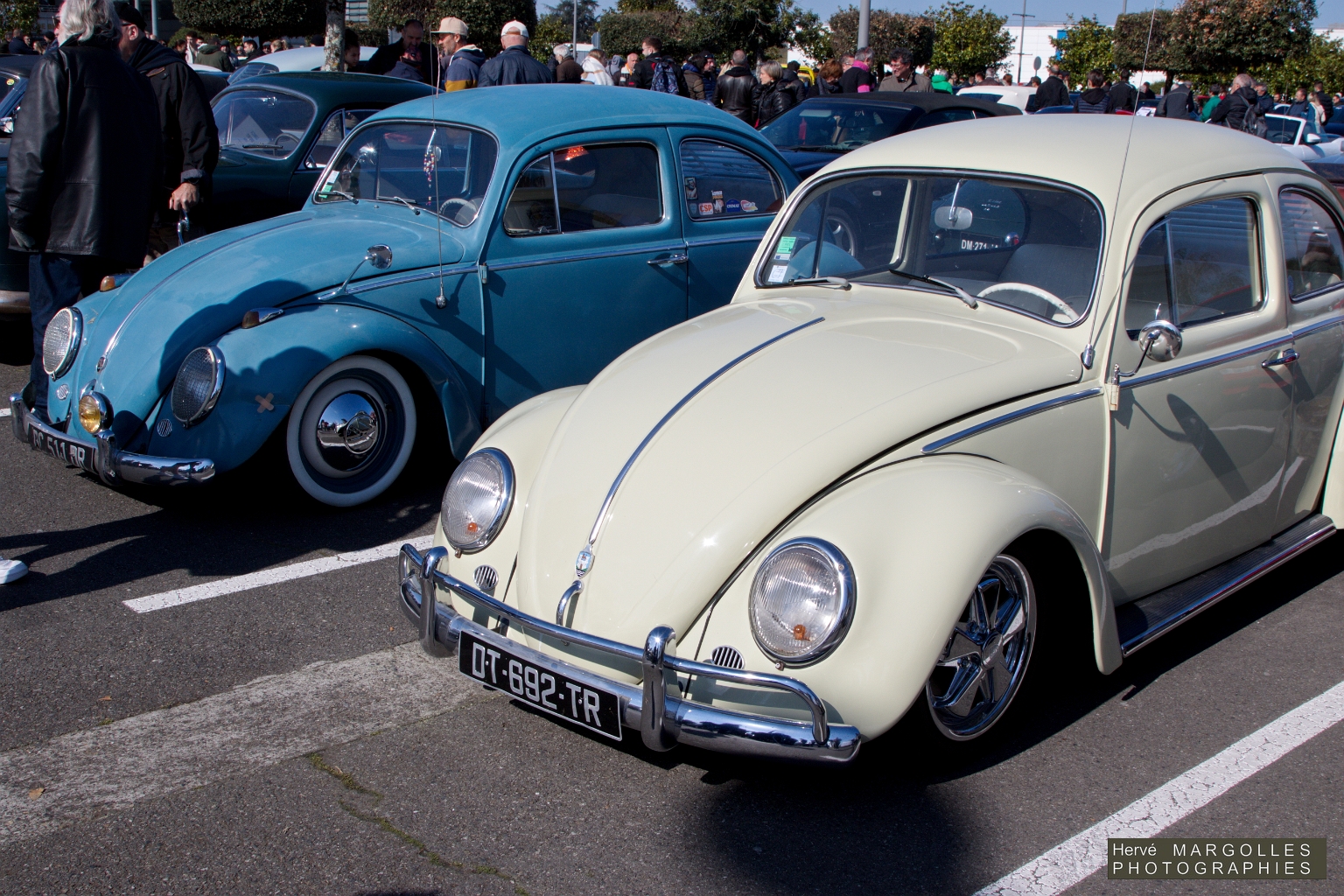 VW Cox -02.jpg